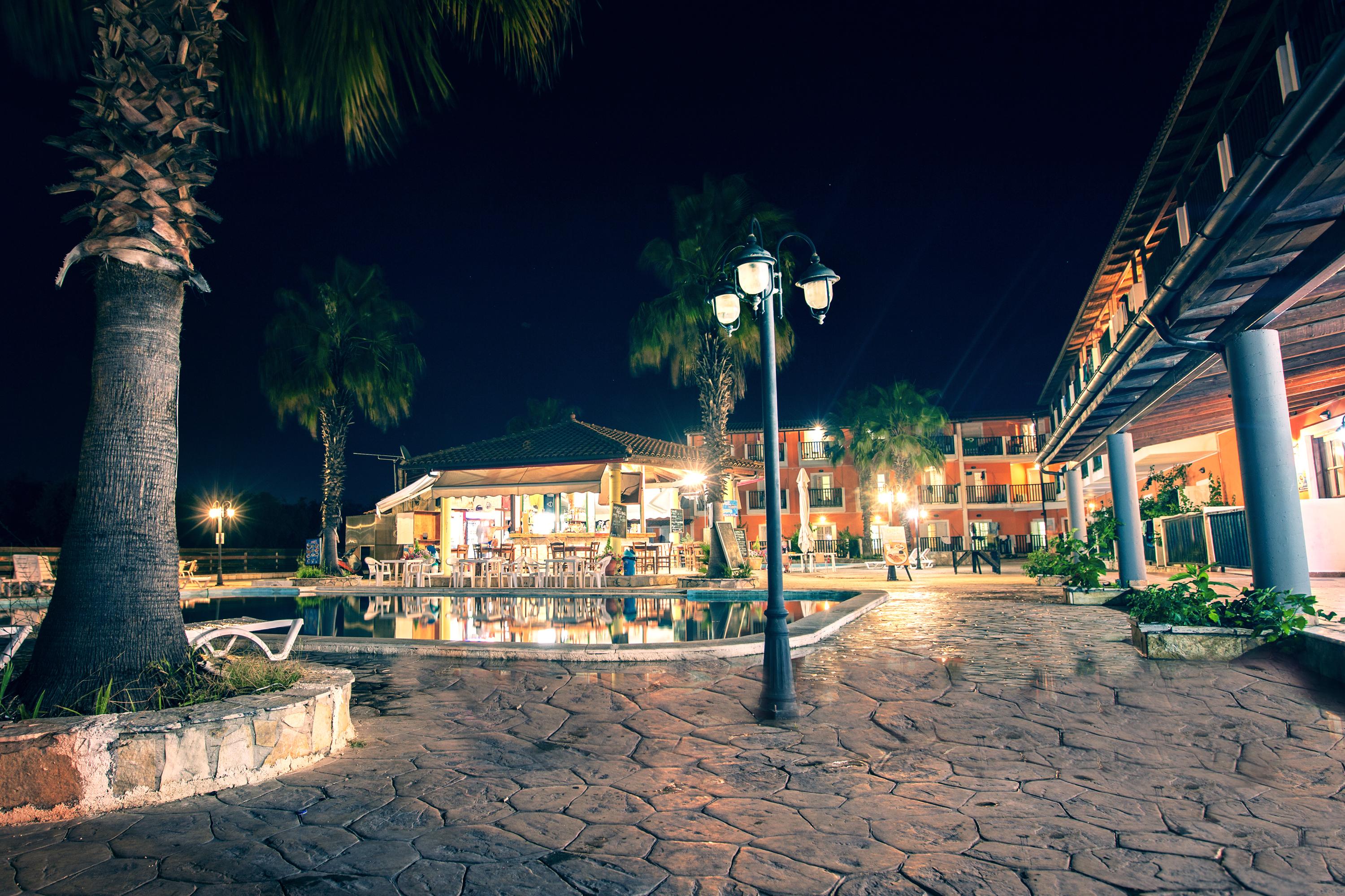 Blue Palm